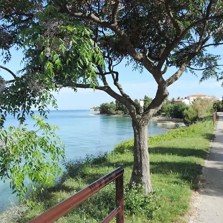 & Room's Anni בית הארחה זאדאר